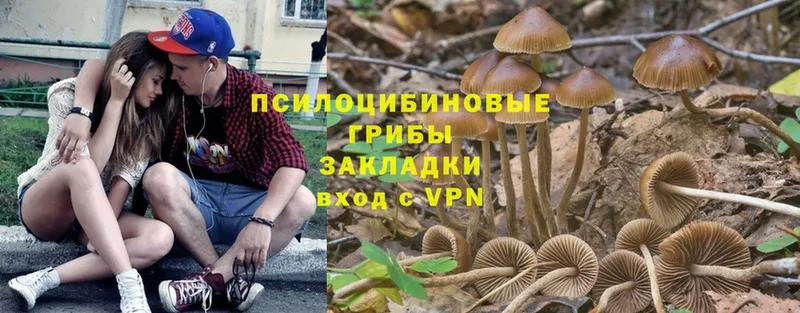 хочу   блэк спрут рабочий сайт  Псилоцибиновые грибы мухоморы  Вязьма 